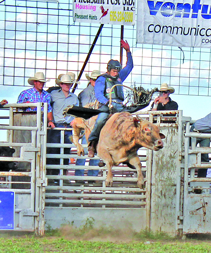 Rodeo High Bull_FCR's image